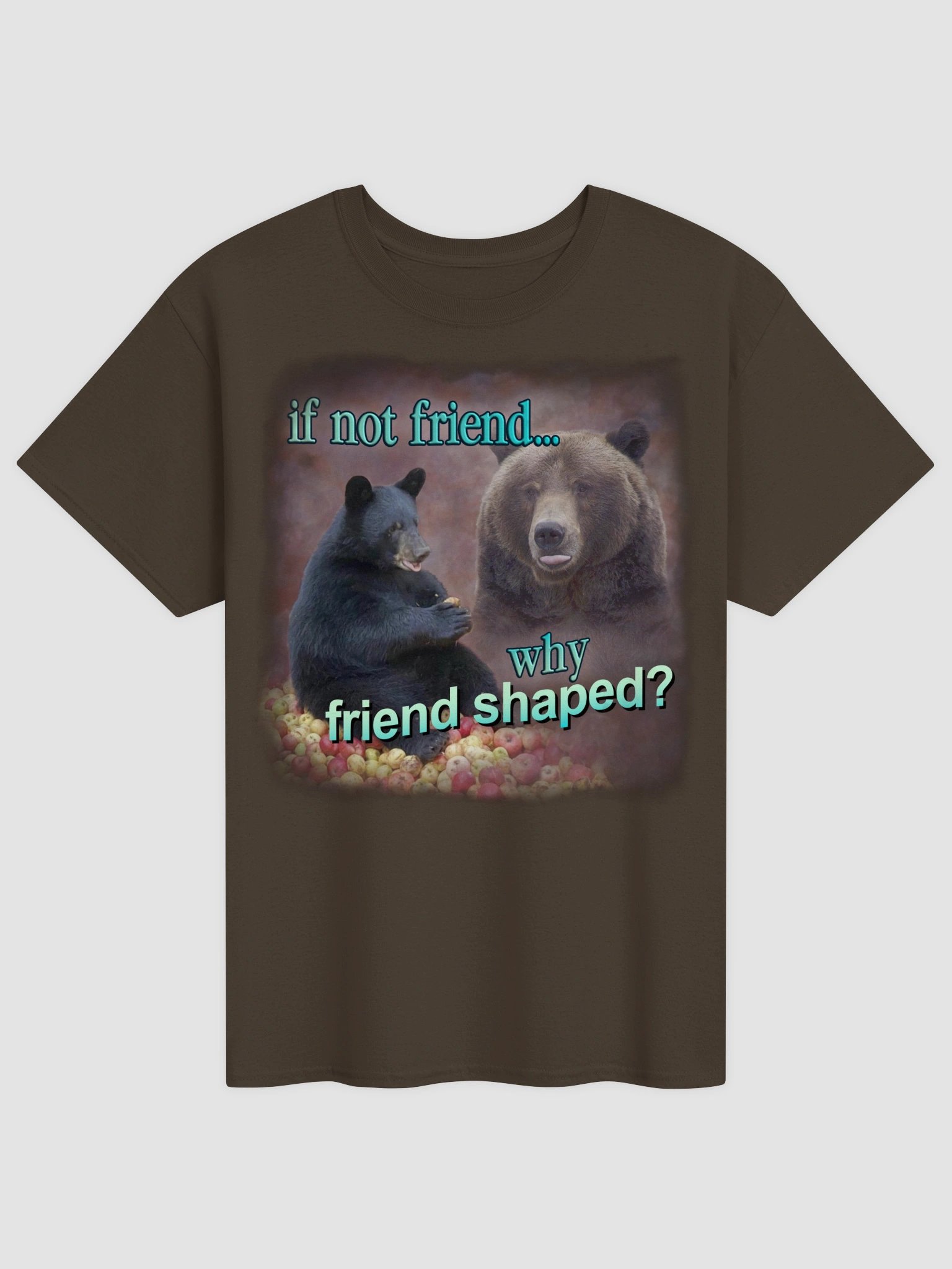 If Not Friend, Why Friend Shaped Bear T-shirt product image (1)