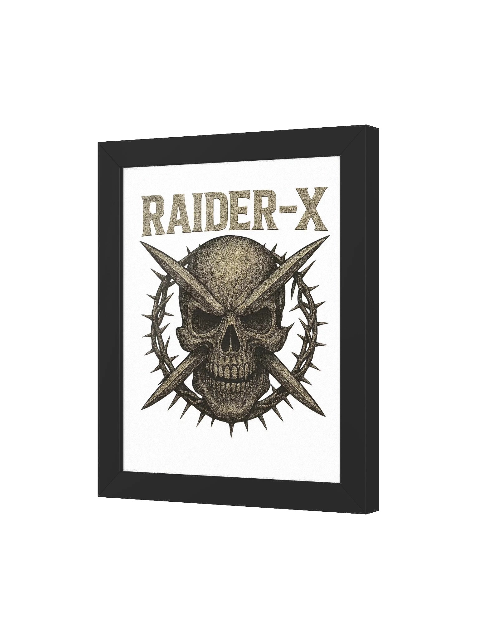 Raider-X product image (18)