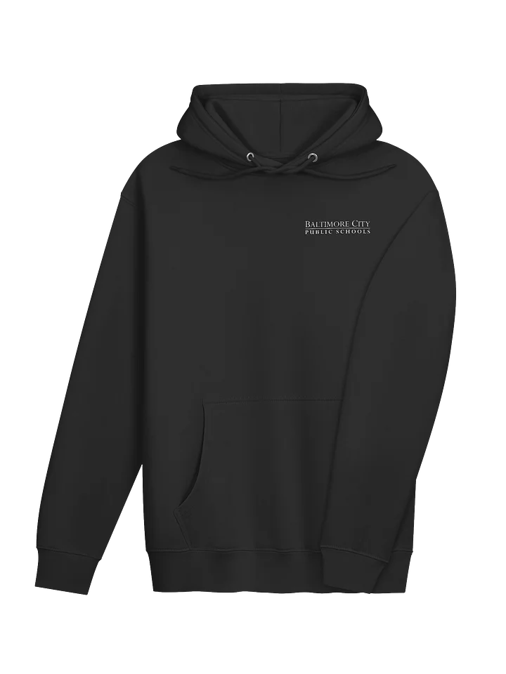 BCPSS - Hoodie - DC product image (2)