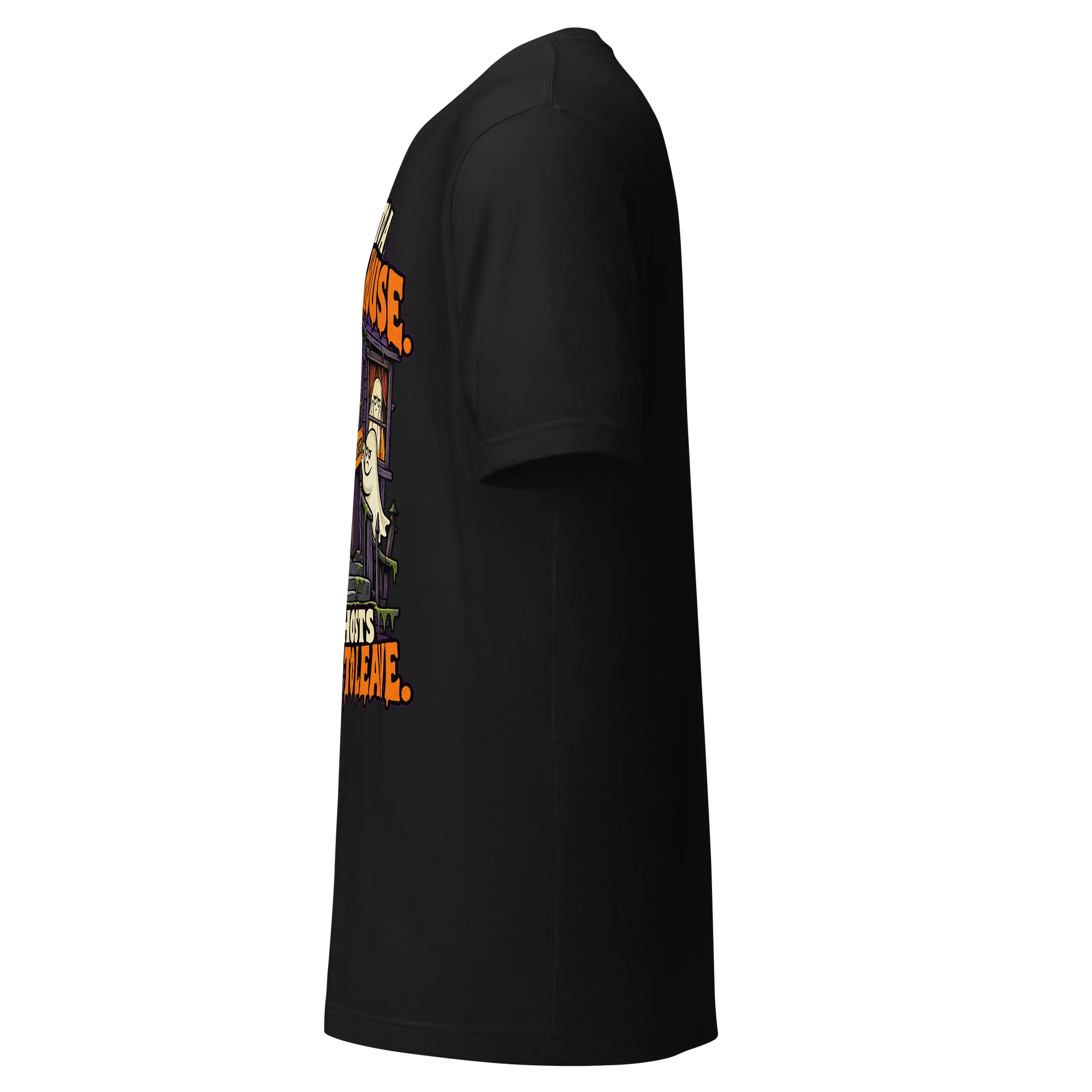 Ghosted by the Ghosts product image (5)