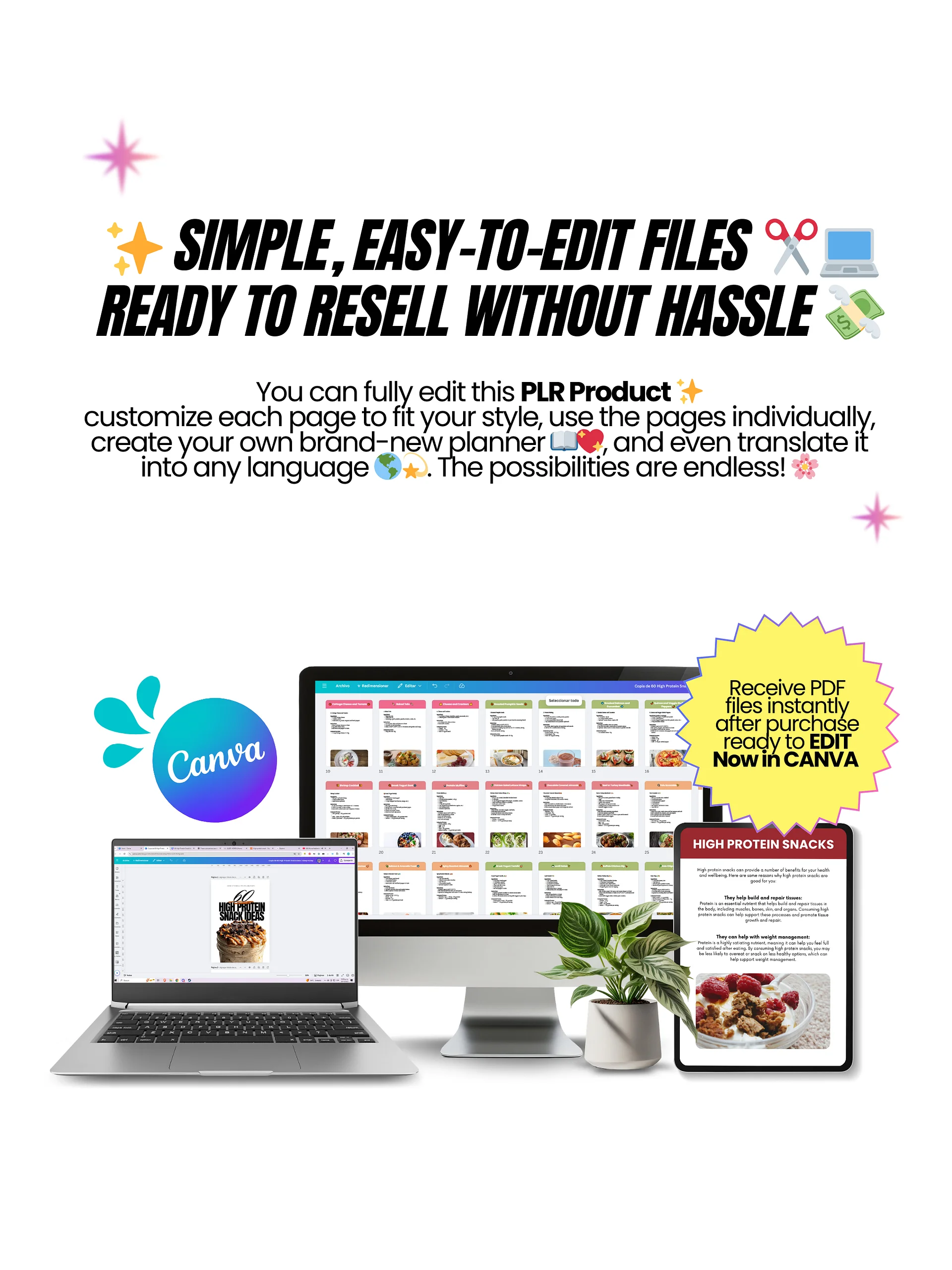 High Protein Recipes: 60 Snack Recipes | PLR/MRR Ebook product image (4)
