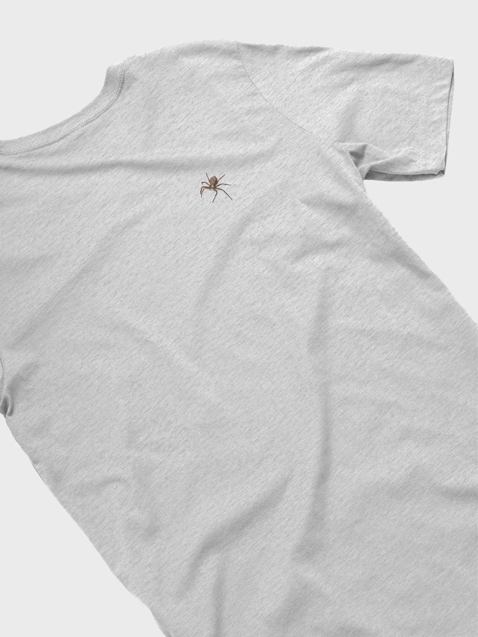 Yes! I know about the spider on my back. product image (4)