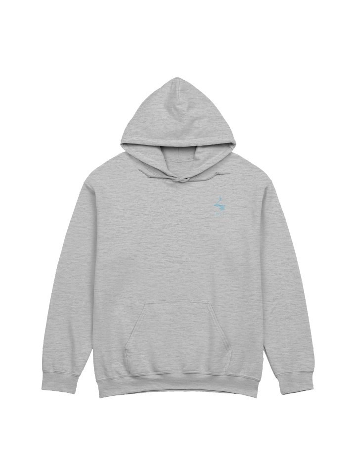 Hoodie V4 product image (2)