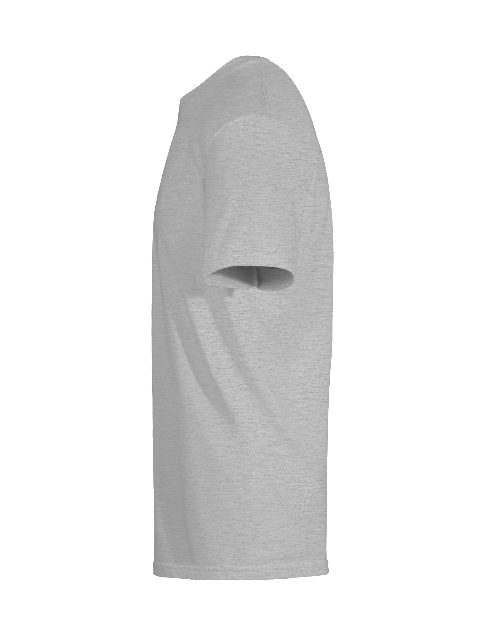1970 Lions Logo (White) Tee - Gildan product image (9)