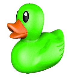 Rave Duck