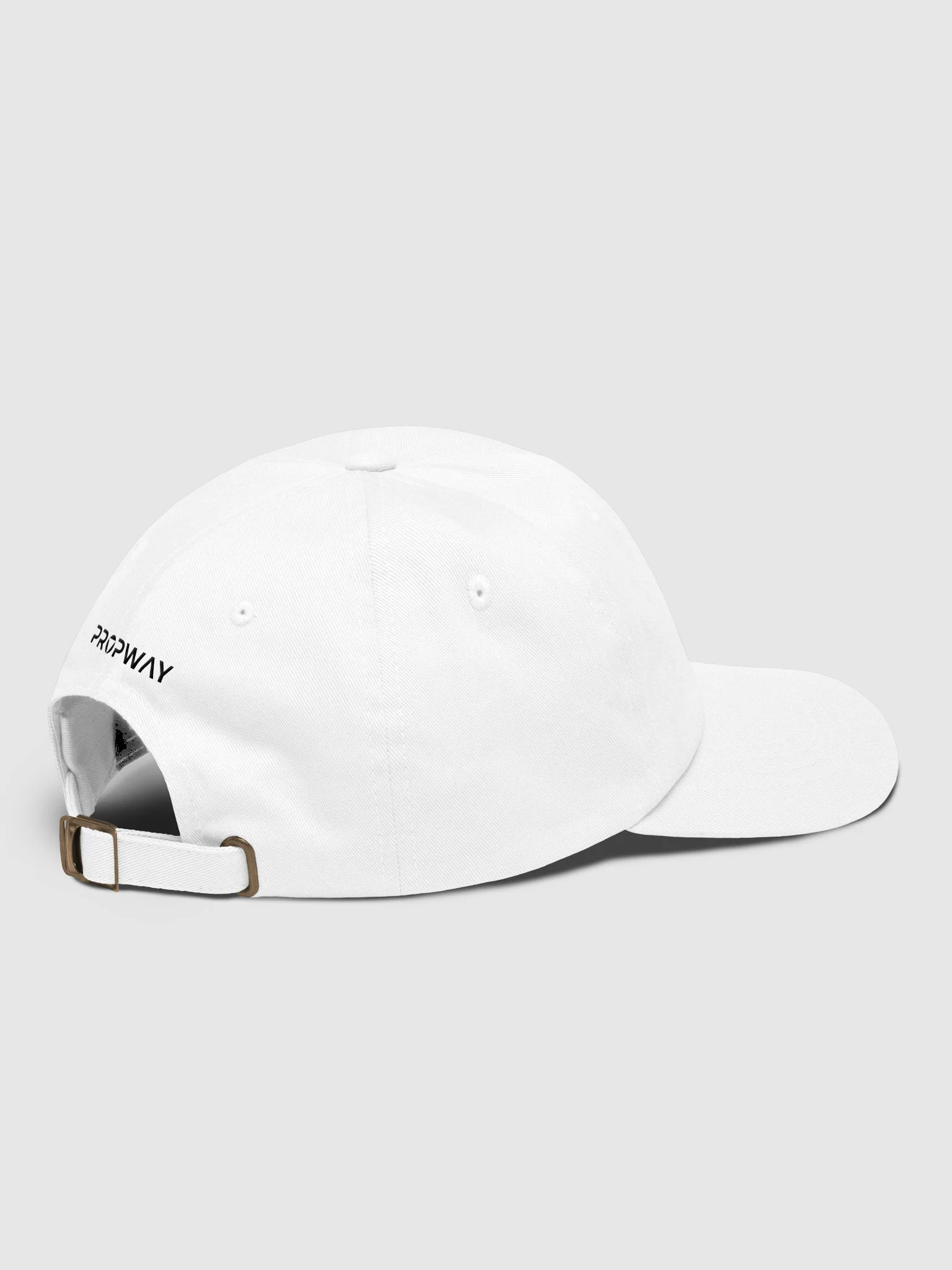 PropWay Hat - Light product image (4)