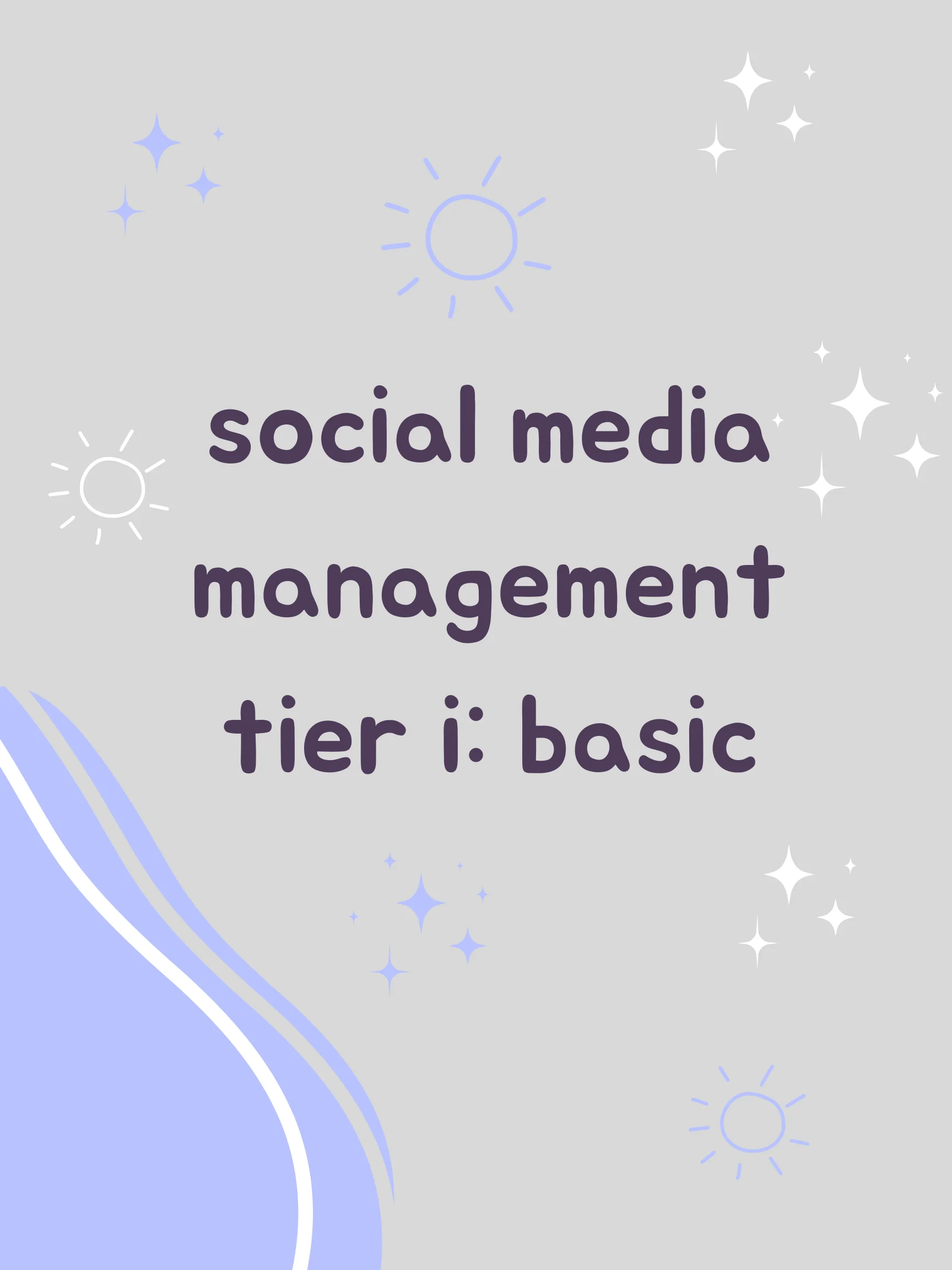Social Media Management Tier I: Basic product image (1)