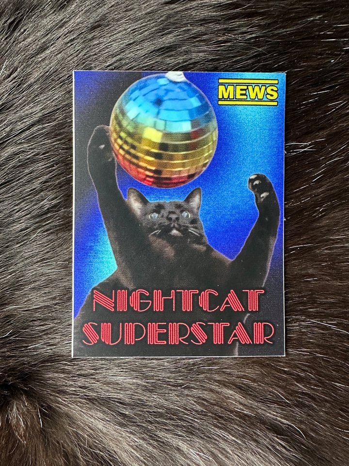 Nightcat Superstar sticker product image (1)