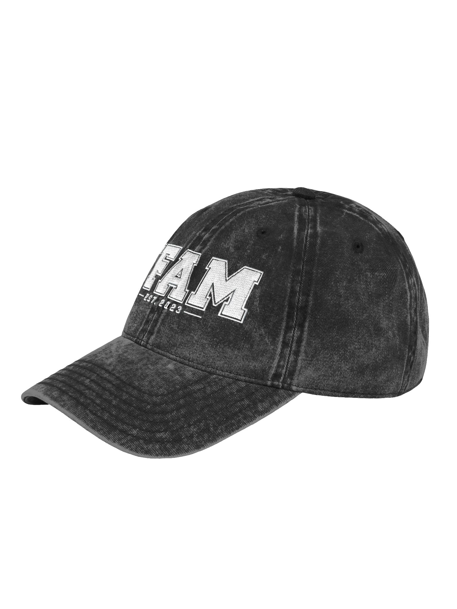 JFAM VARSITY HAT product image (4)