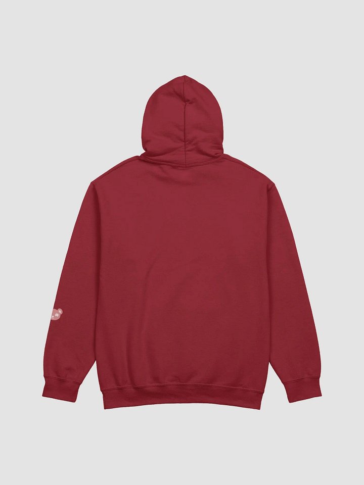 TeddyChan Logo Hoodie product image (2)