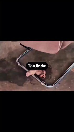 Parecía… otra cosa… 😅

#funnyreels #reacciones