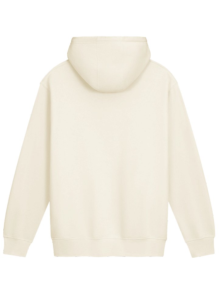 Freya's World Tour-Sea Turtle Hoodie product image (2)