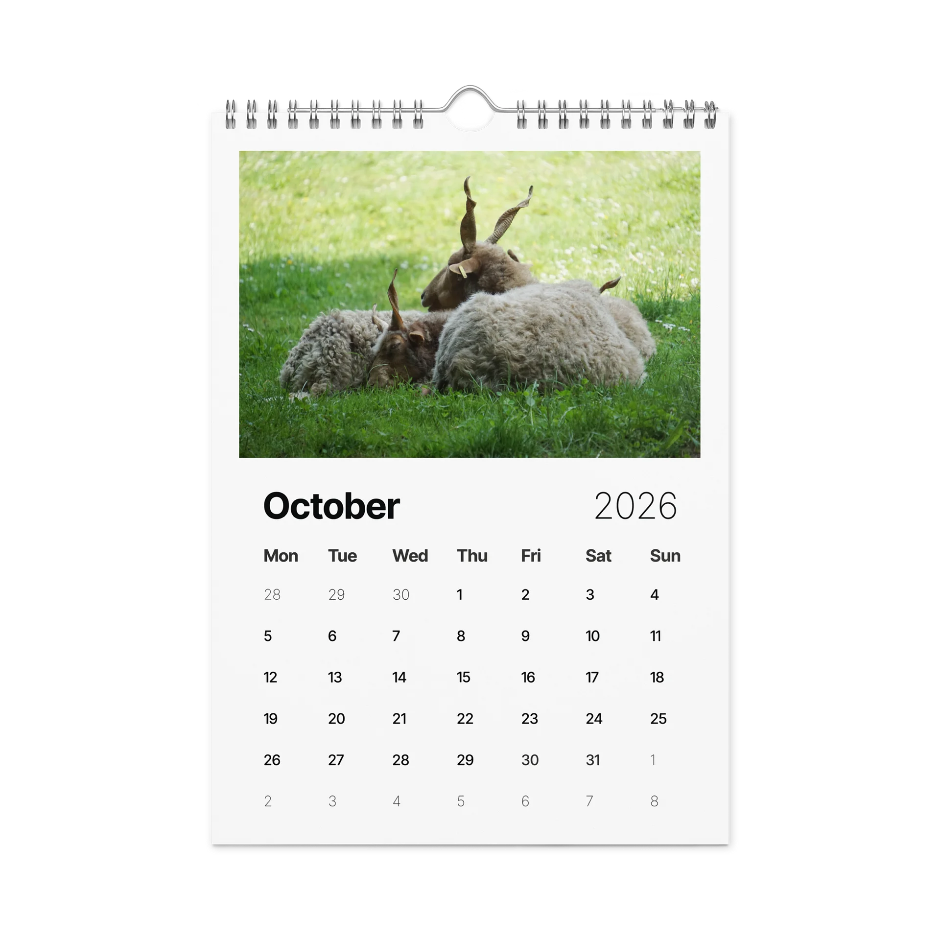 One Year, Twelve Animals: ESE 2026 Wall Calendar product image (12)
