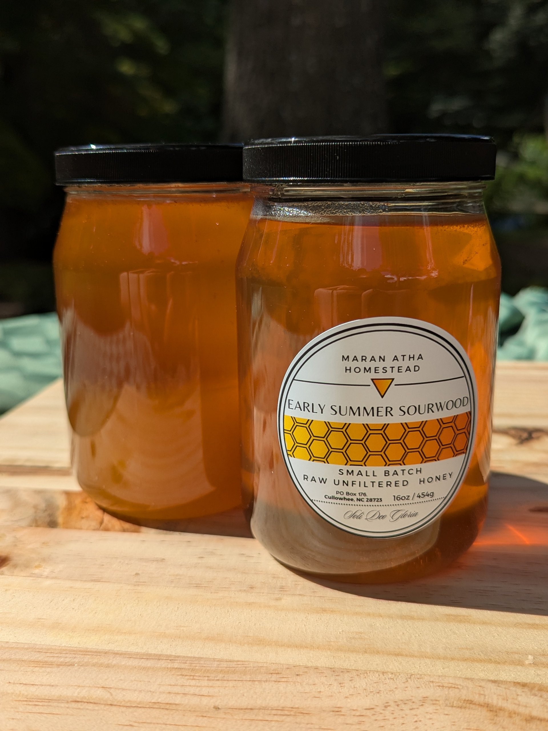 Early Summer Sourwood Honey (partially crystallized) product image (1)