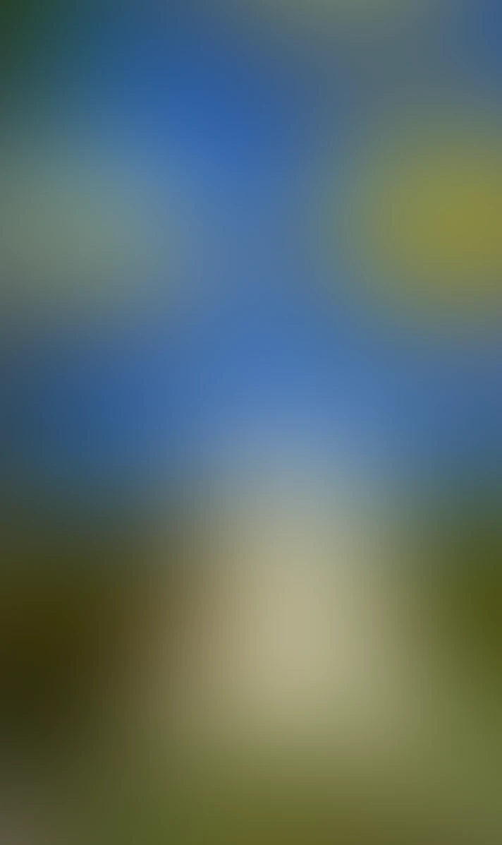 Video thumbnail background