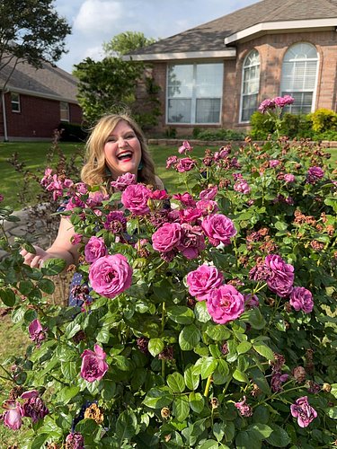 This is your reminder to stop and smell the roses. 🌹 

Rose pictured: Plum Perfect from @jacksonandperkins. ✨

#rose #roses #...