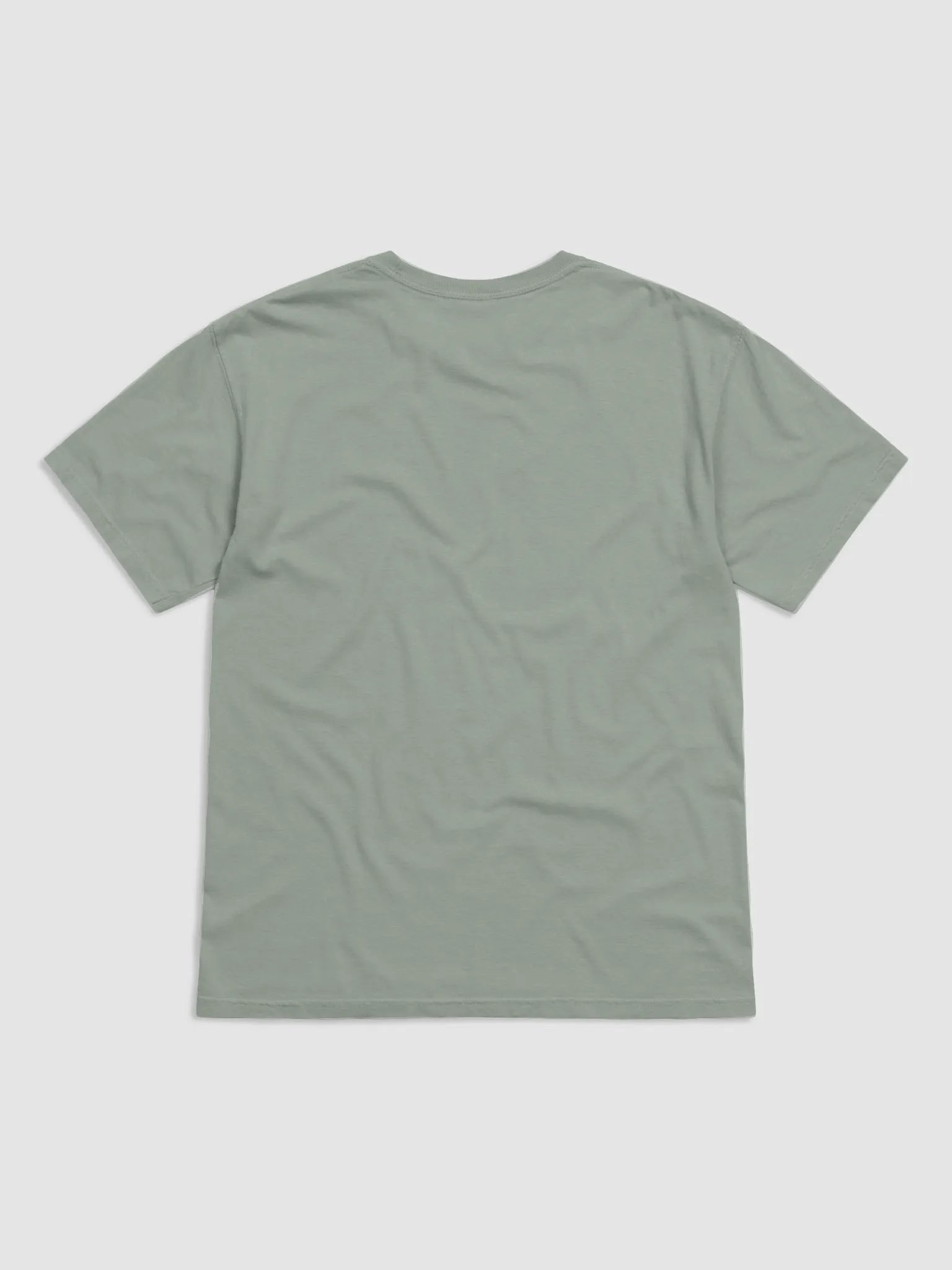 UAP T-Shirt product image (2)
