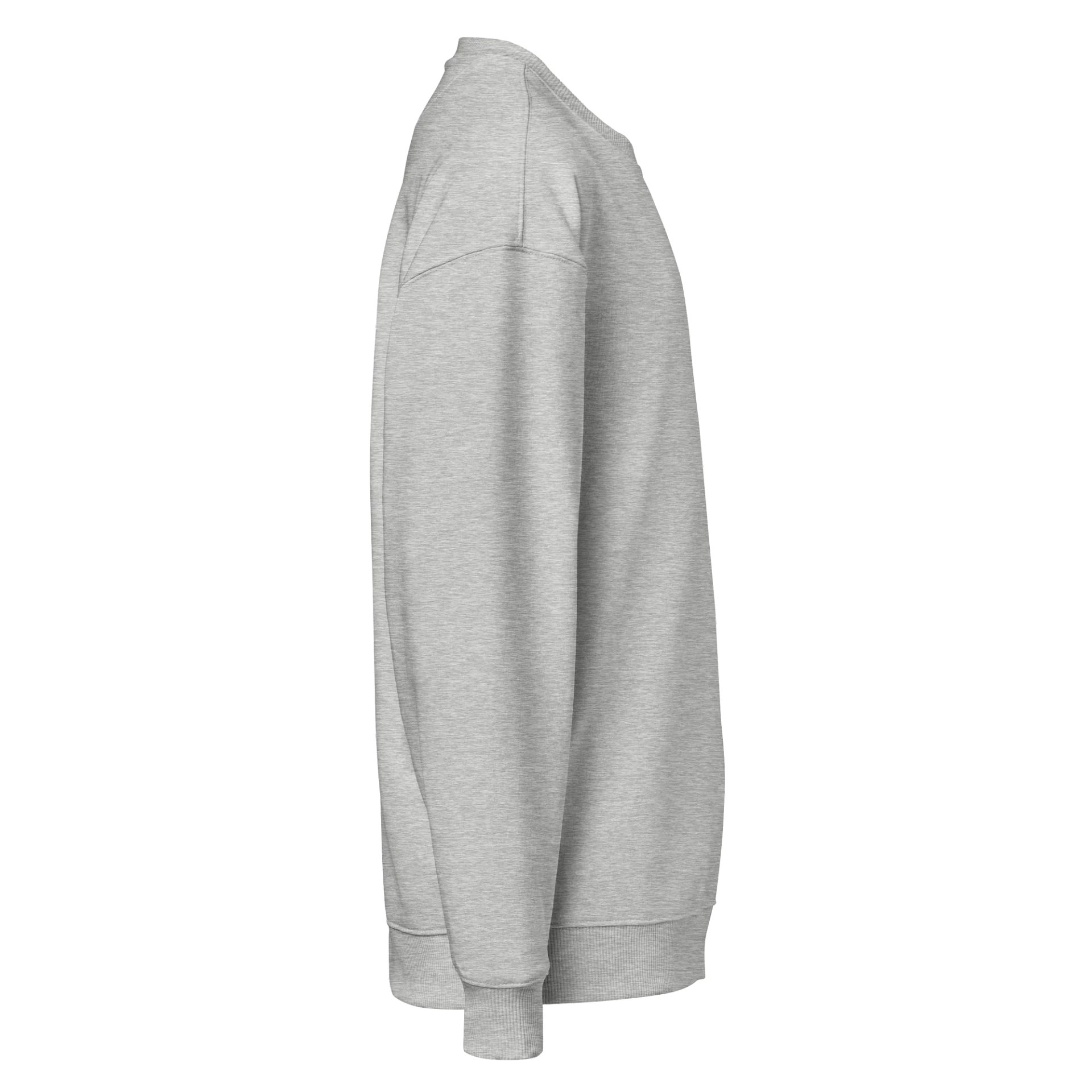 Snap's EcoChill Organic Oversized Sweatshirt product image (4)
