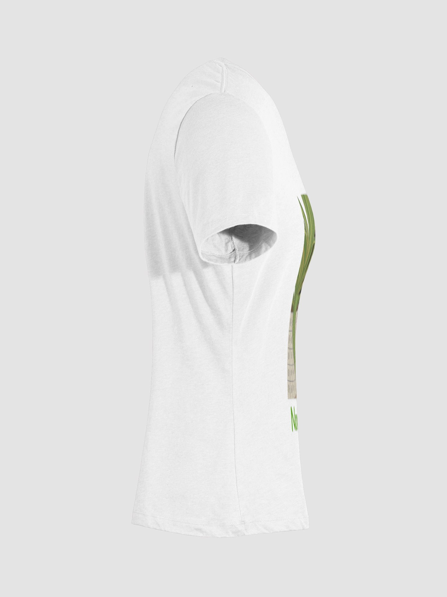 Women's Now Clap! V Neck Tee Shirt product image (77)