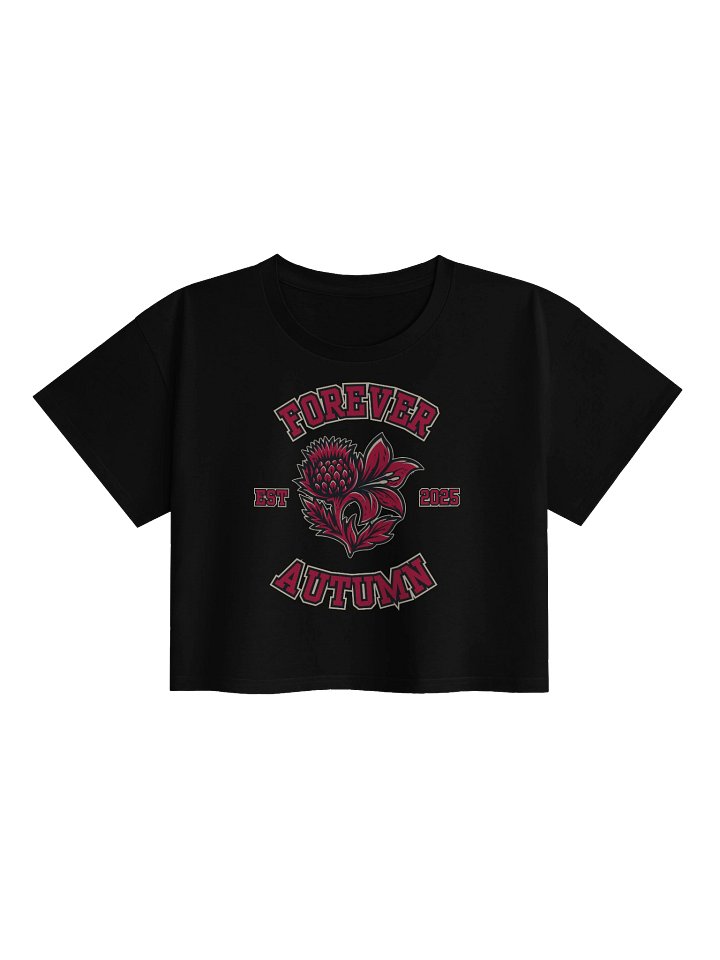 Forever Autumn Crop Top product image (1)