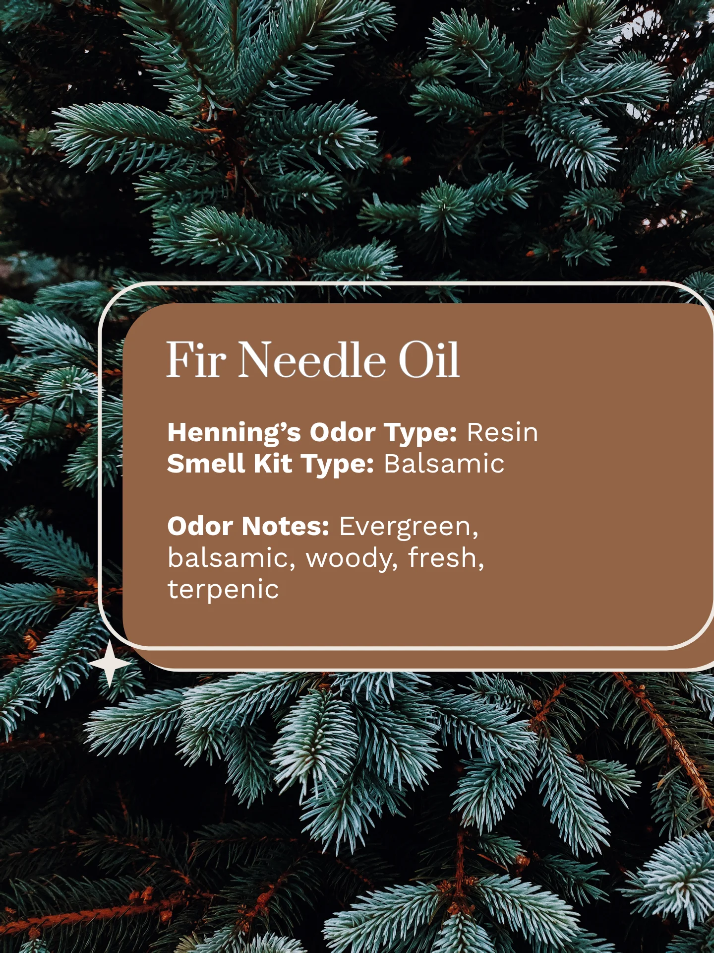 Olfaria Smell Training Kit | Set 1 | 5 Single-Note Essential Oils | Olfactory Training / Smell Loss product image (4)