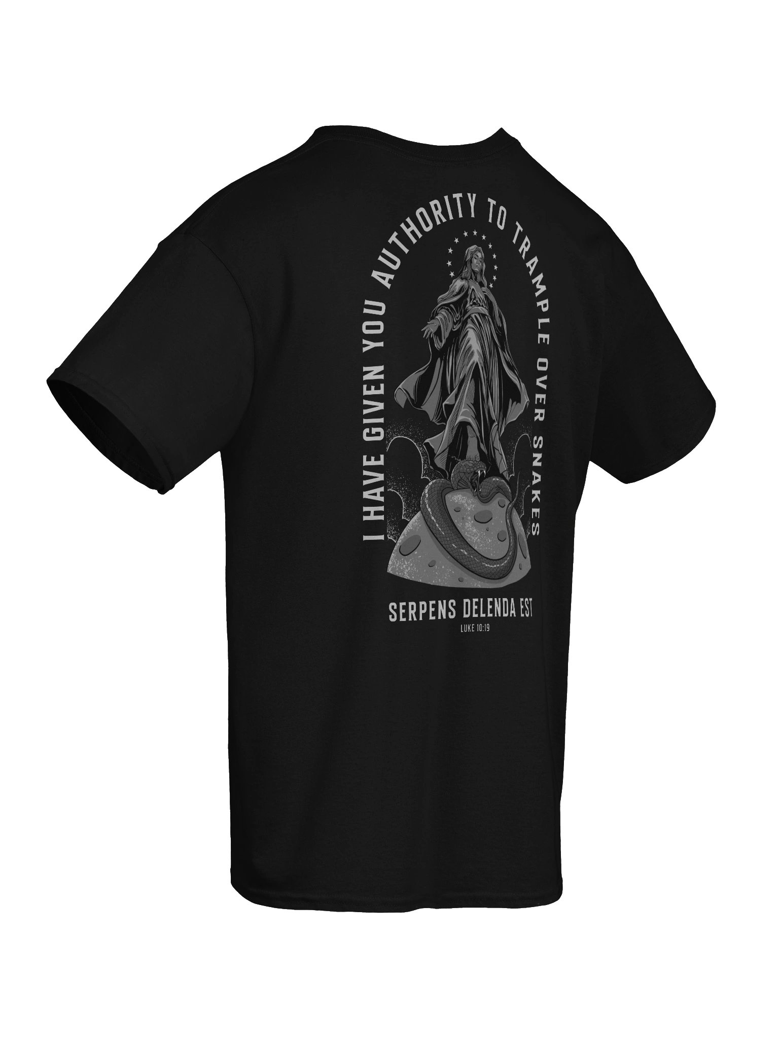Sancta Dei Genitrix - Comfort T-shirt product image (8)