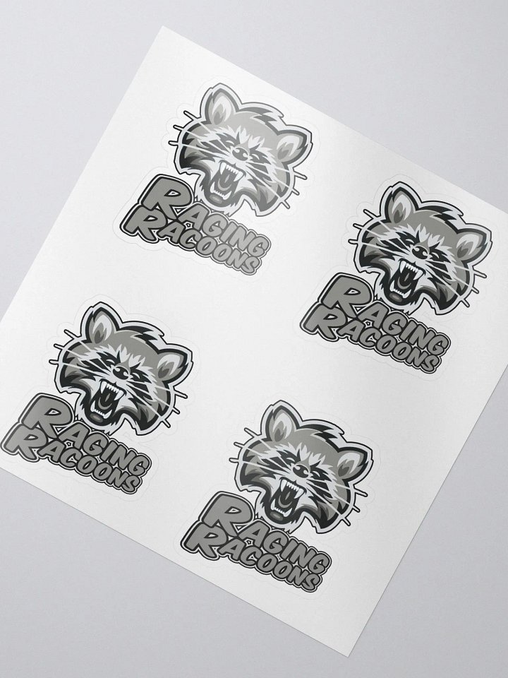 Raging Racoons Sticker Page product image (2)