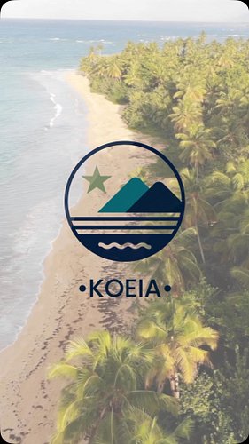 Una KOEIA sobre el mar.
Nuestro viaje comienza donde las olas y el cielo se encuentran.
KOEIA nace del Caribe, con luz propia...