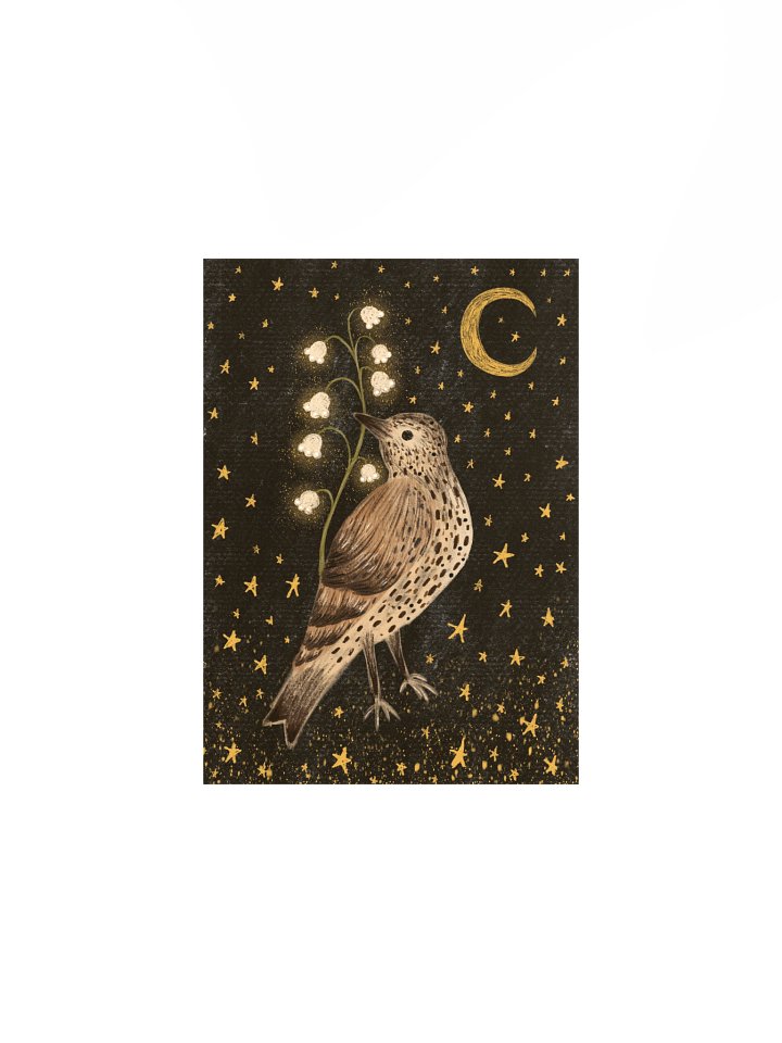 the pretty song thrush product image (2)