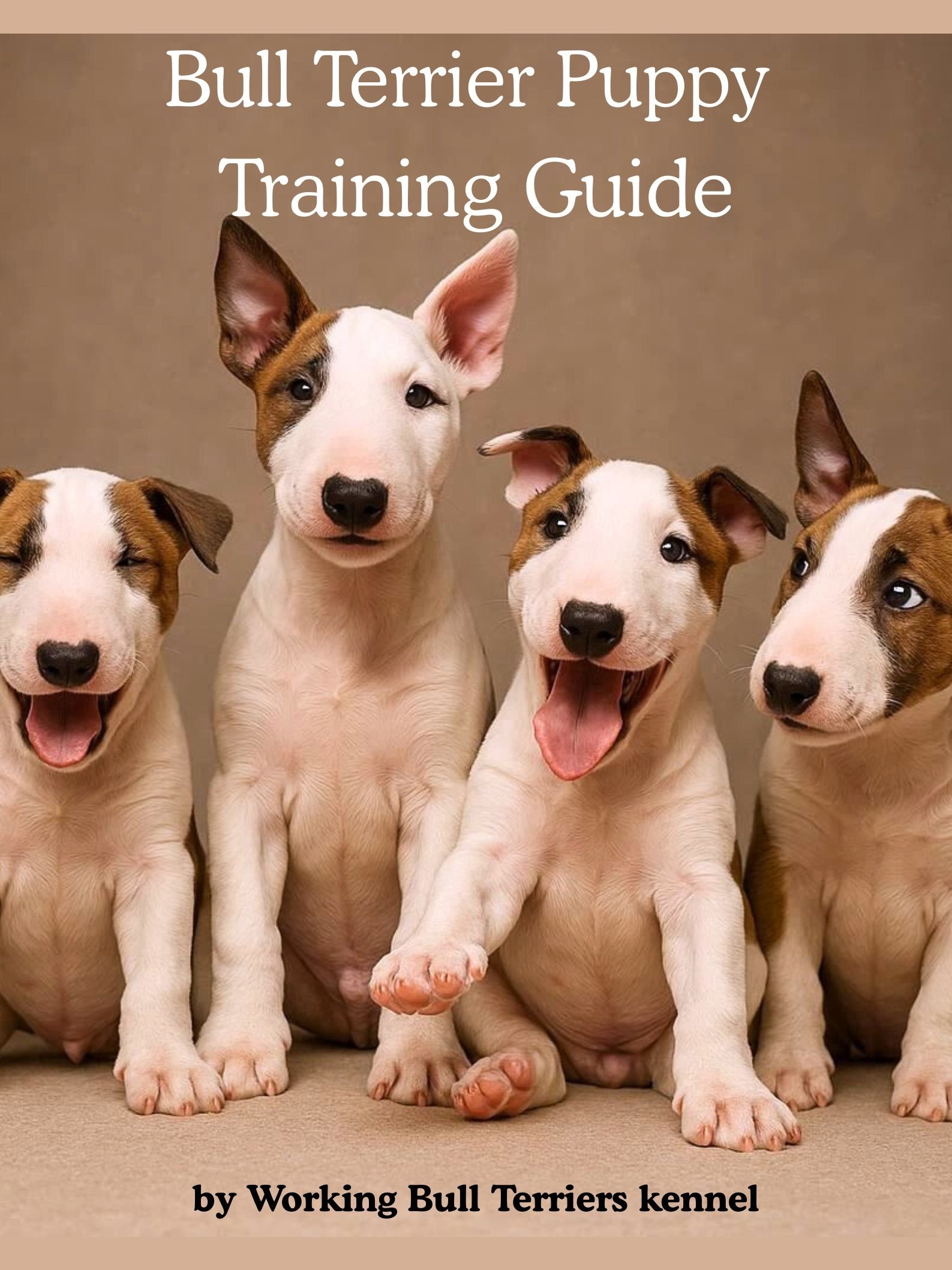 The Ultimate Bull Terrier Library Bundle (E-Books) product image (3)