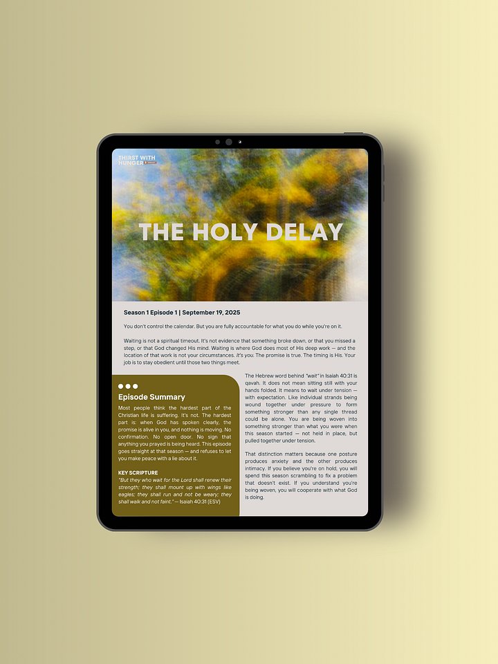 Thirst With Hunger Podcast EP 1: The Holy Delay Study Guide (Free Download) product image (1)