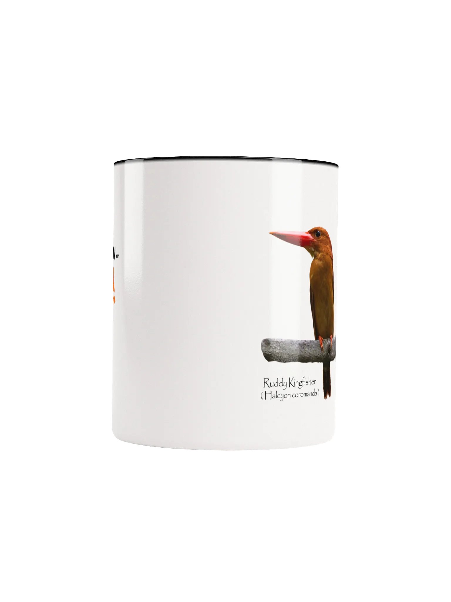 Ruddy Kingfisher mug product image (44)