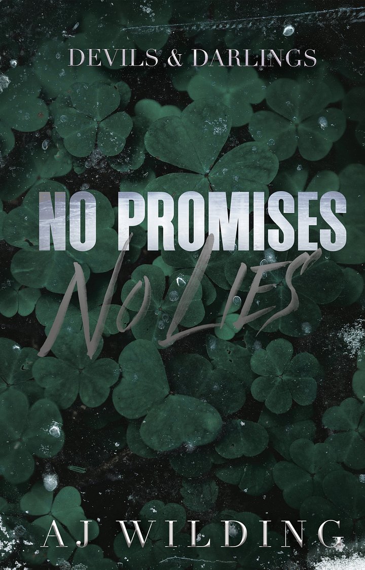 No Promises, No Lies - Signed Hardcover product image (1)