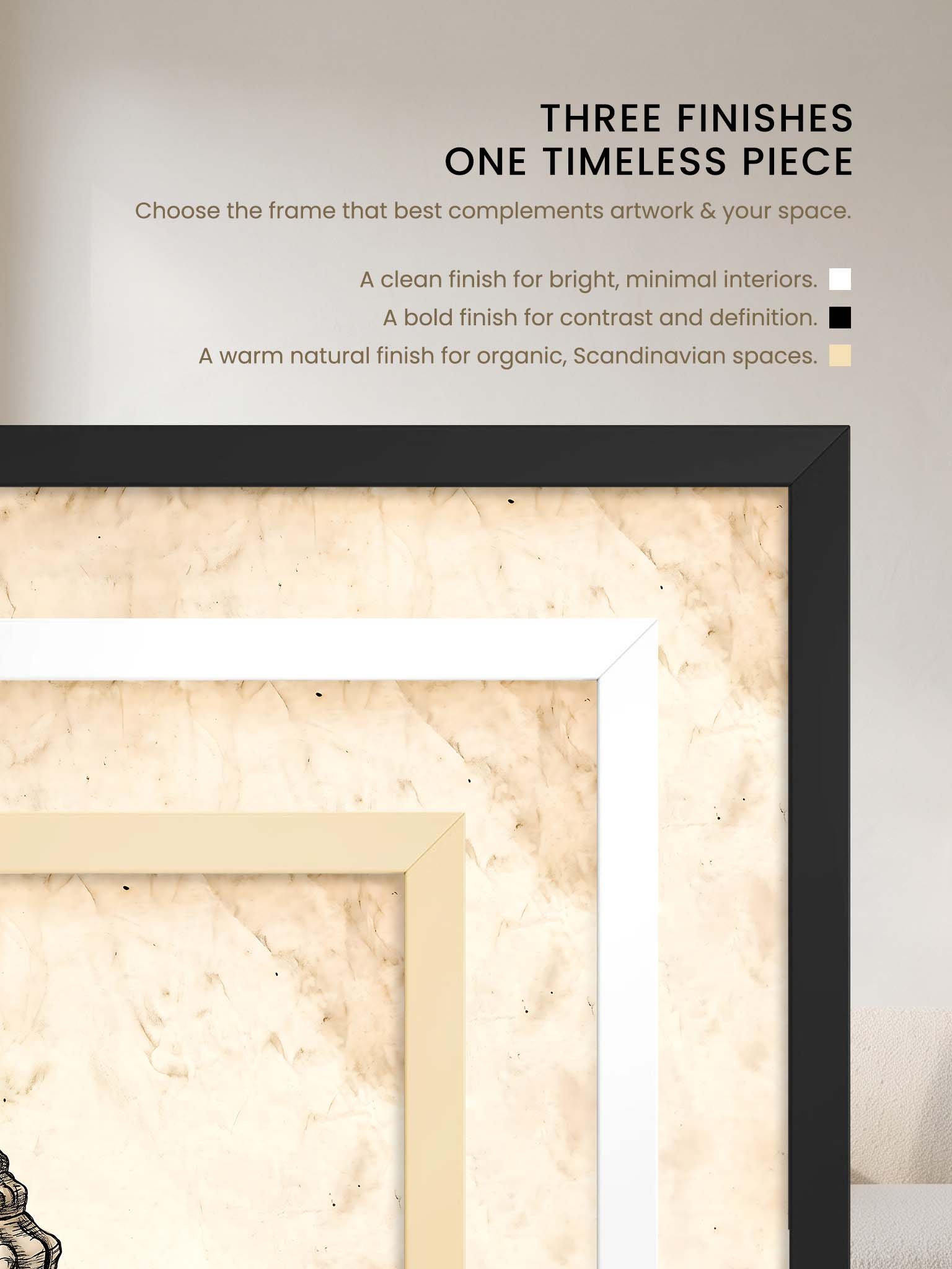 Vintage Seashell - Natural History Archive Wall Art product image (74)
