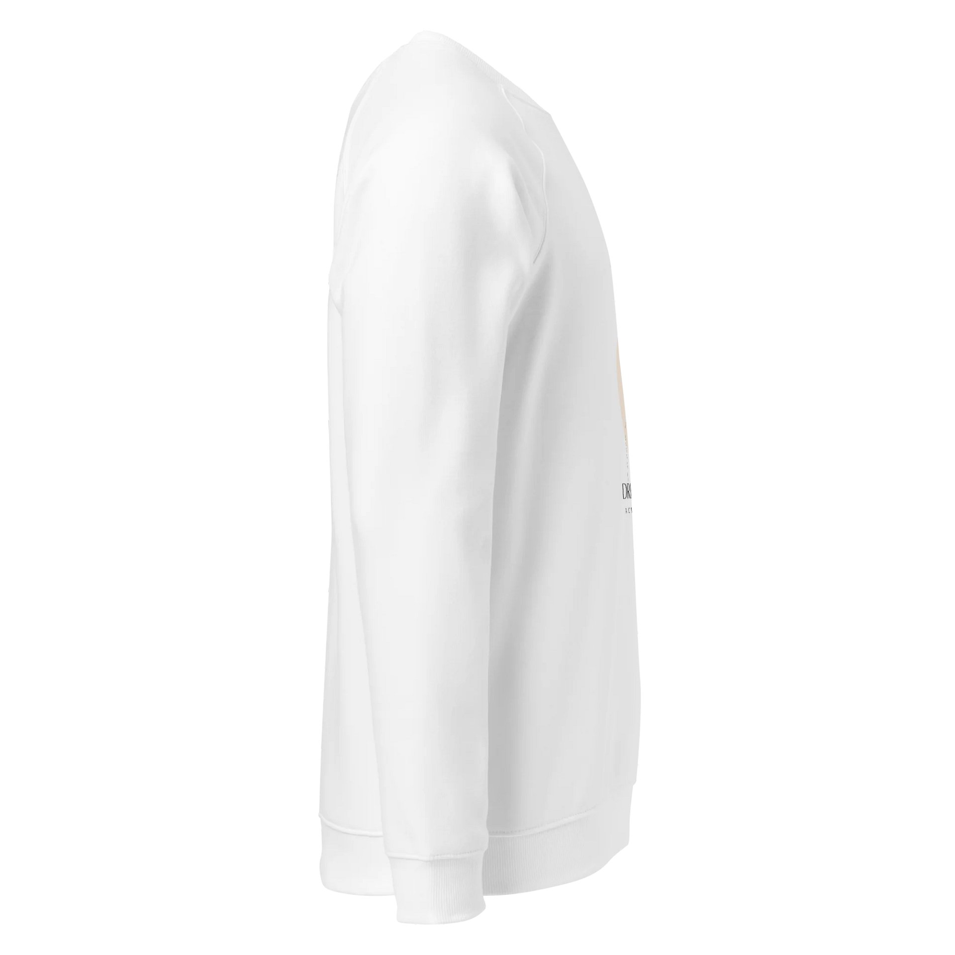 Women's Organic Raglan Sweatshirt ORFB0146 product image (3)