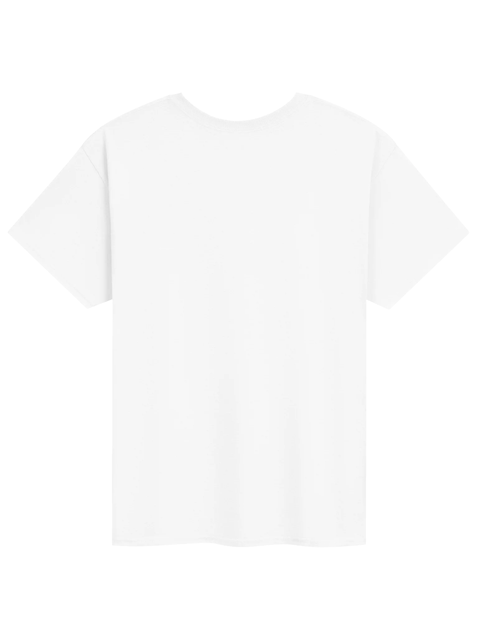 Notorious FIG Tee product image (4)