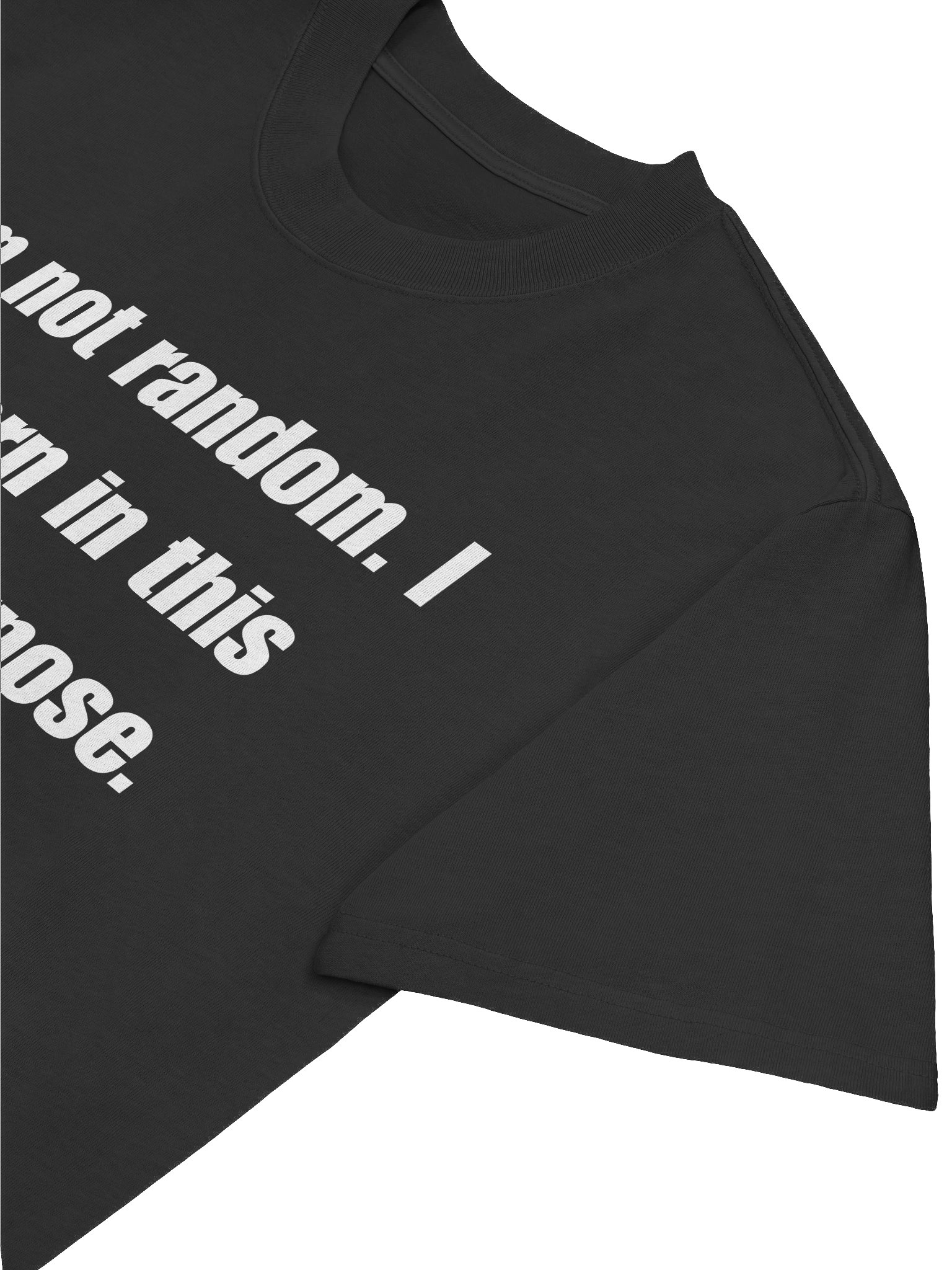 Reformation Generation AS Colour Premium Oversized Faded T-Shirt product image (2)