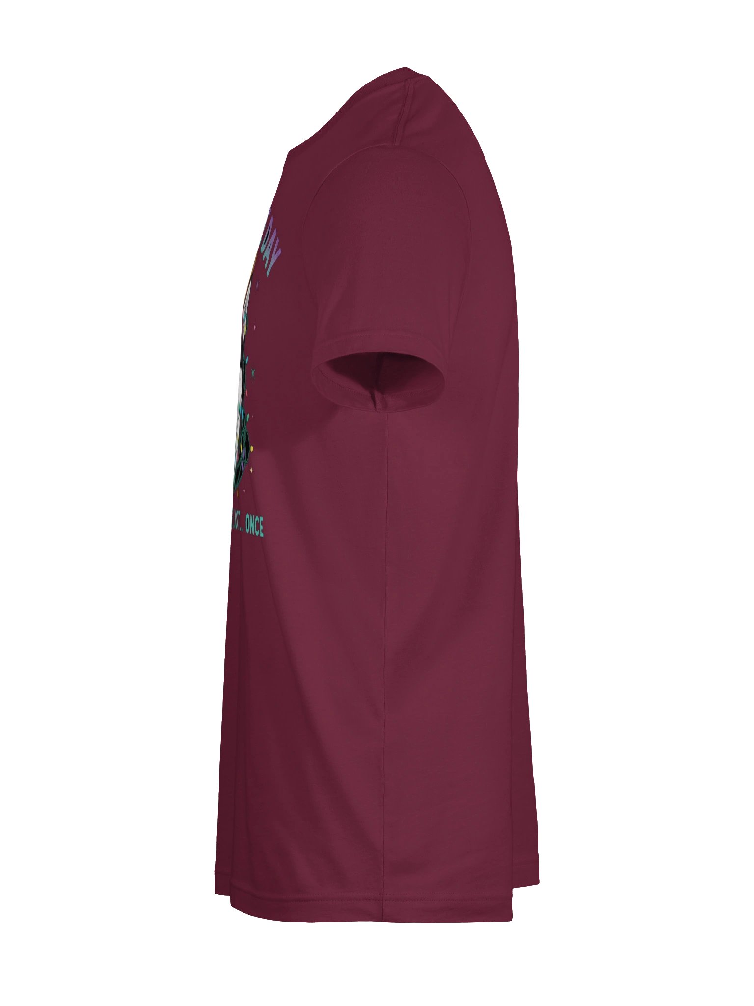 Sleigh the Day Husky Tee product image (9)