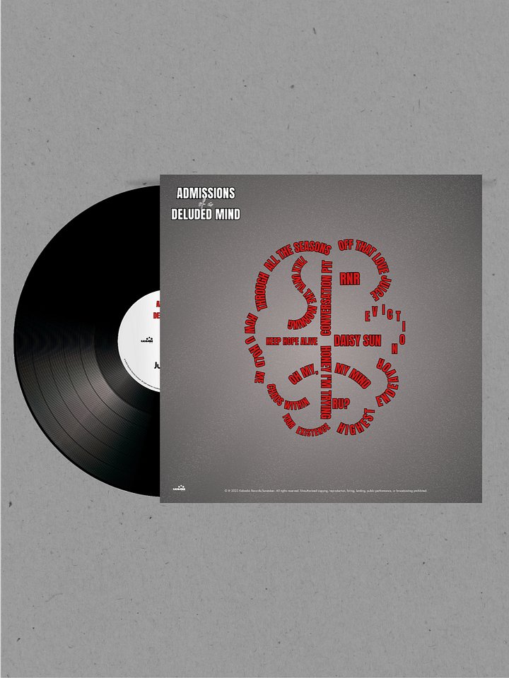 Limited Edition AOADM Vinyl product image (2)
