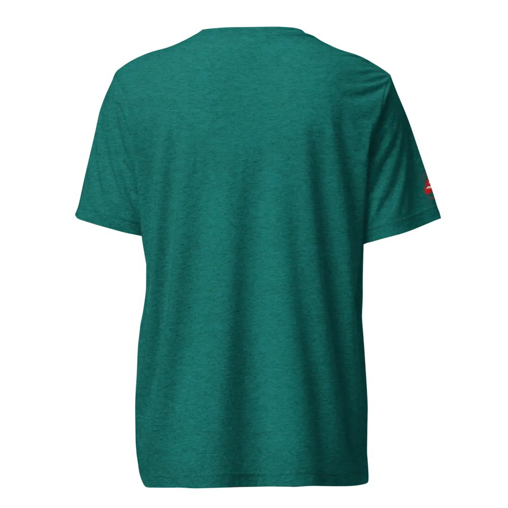 Mustard Seed Faith Triblend Bella Tee product image (4)