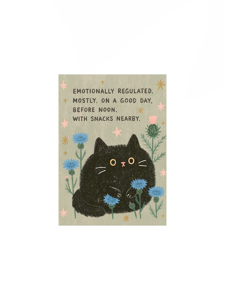 Mostly Regulated Cat Poster product image (4)