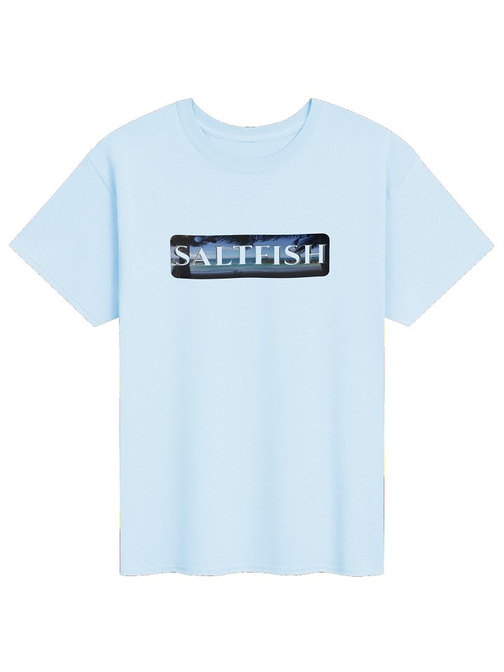 CaribbeanApples - Saltfish | Heavyweight T-Shirt | 9 Colors product image (1)