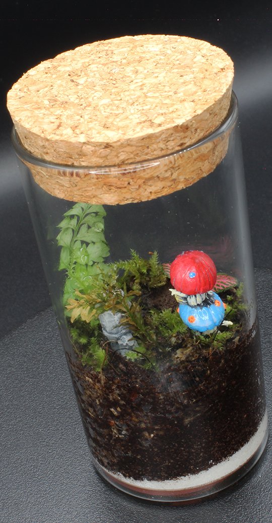 Miniscapes - Fantasy - Mushrooms find a golem product image (4)