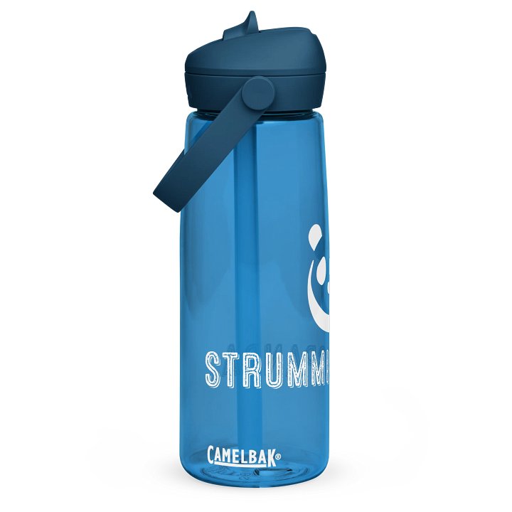 StrummingPanda Water Bottle - Blue product image (1)