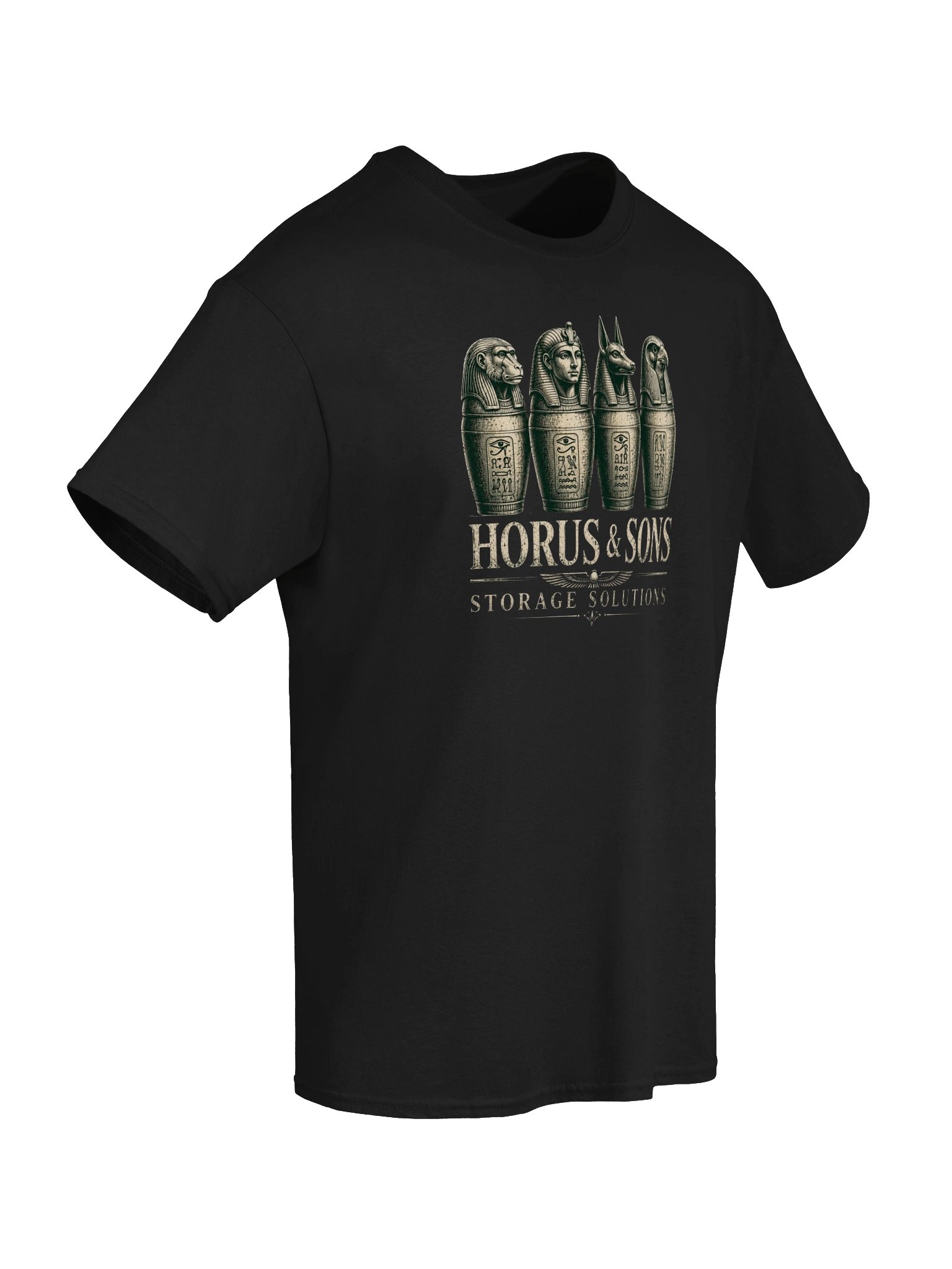 Horus and Sons Storage Solutions Ancient Egypt Humor T-Shirt, Egyptian History Gift, Ancient Egypt Graphic Tee, Funny Archaeology Shirt product image (63)