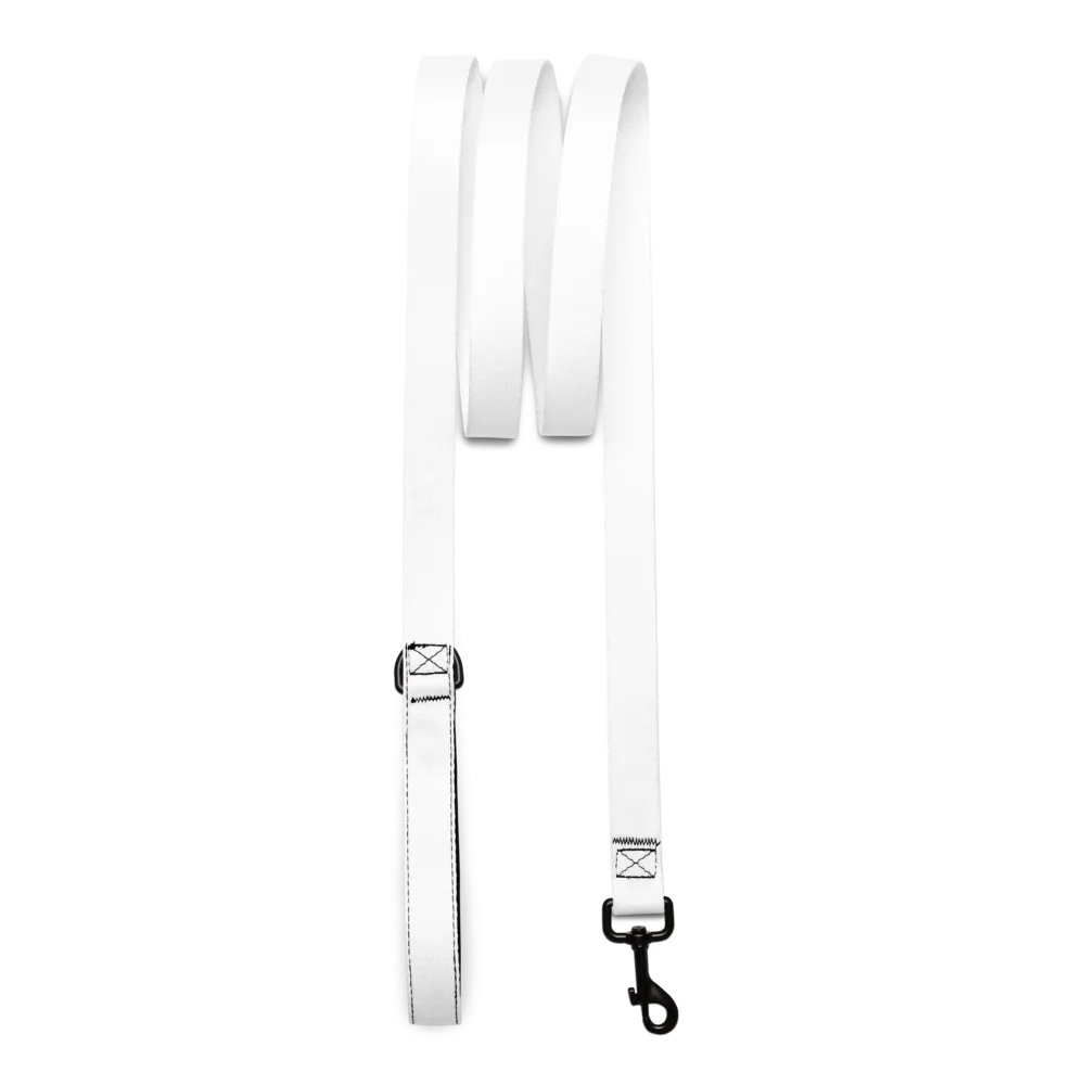 Zenith White 6ft Pet Leash - Durable Polyester with Comfortable Padded Handle product image (3)