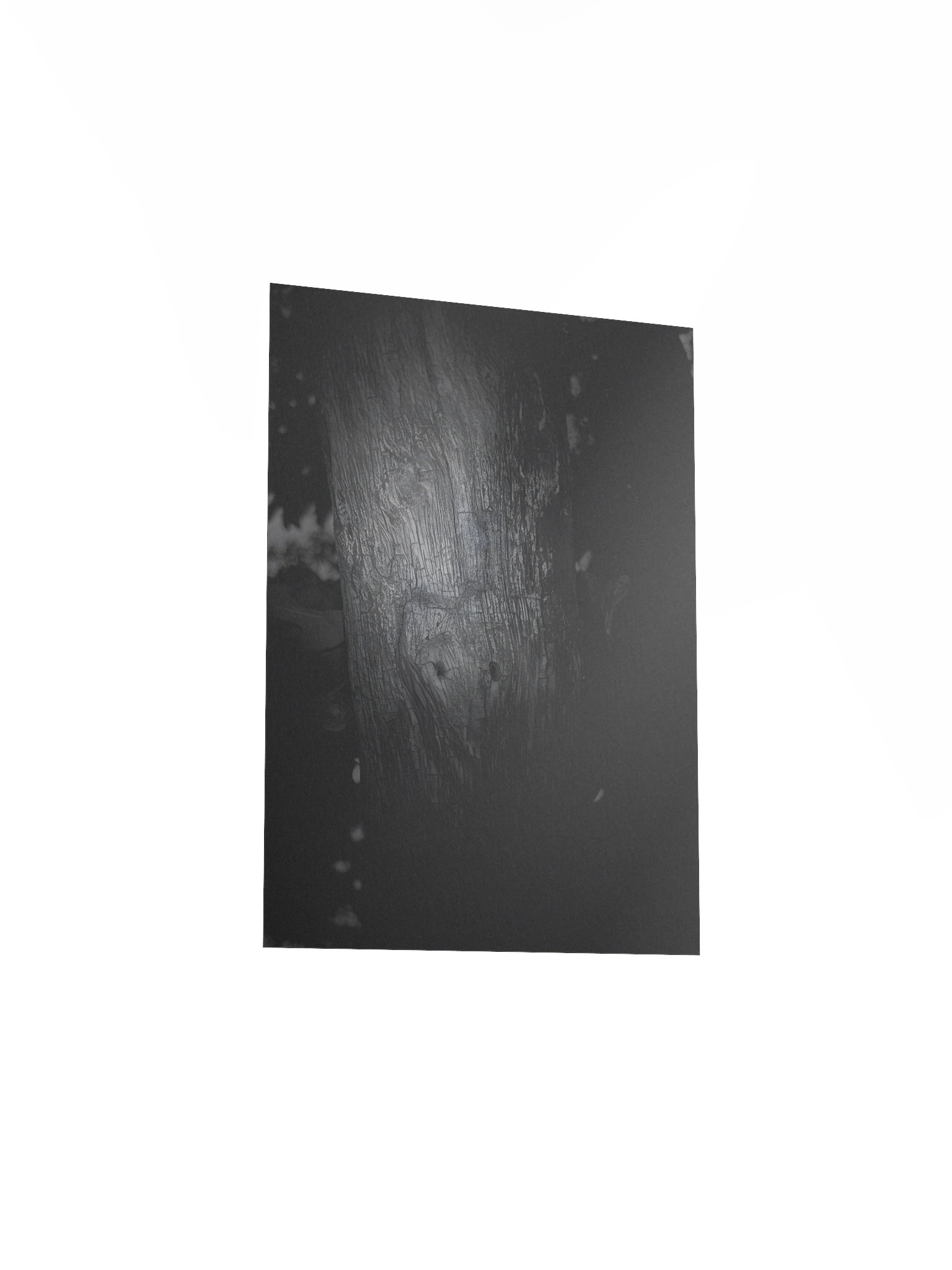 The carving (real image) poster product image (20)