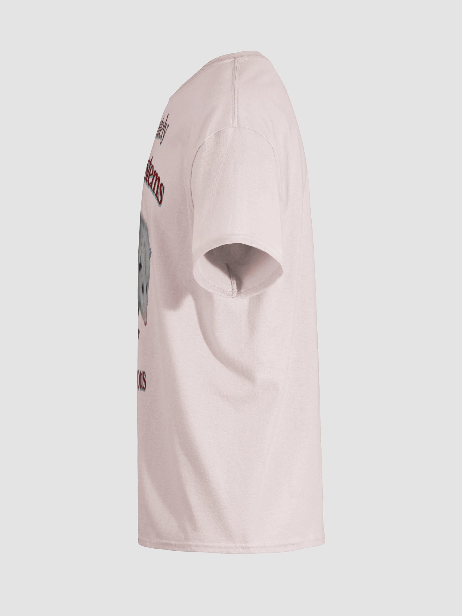 All My Systems Are Nervous Possum T-shirt product image (59)