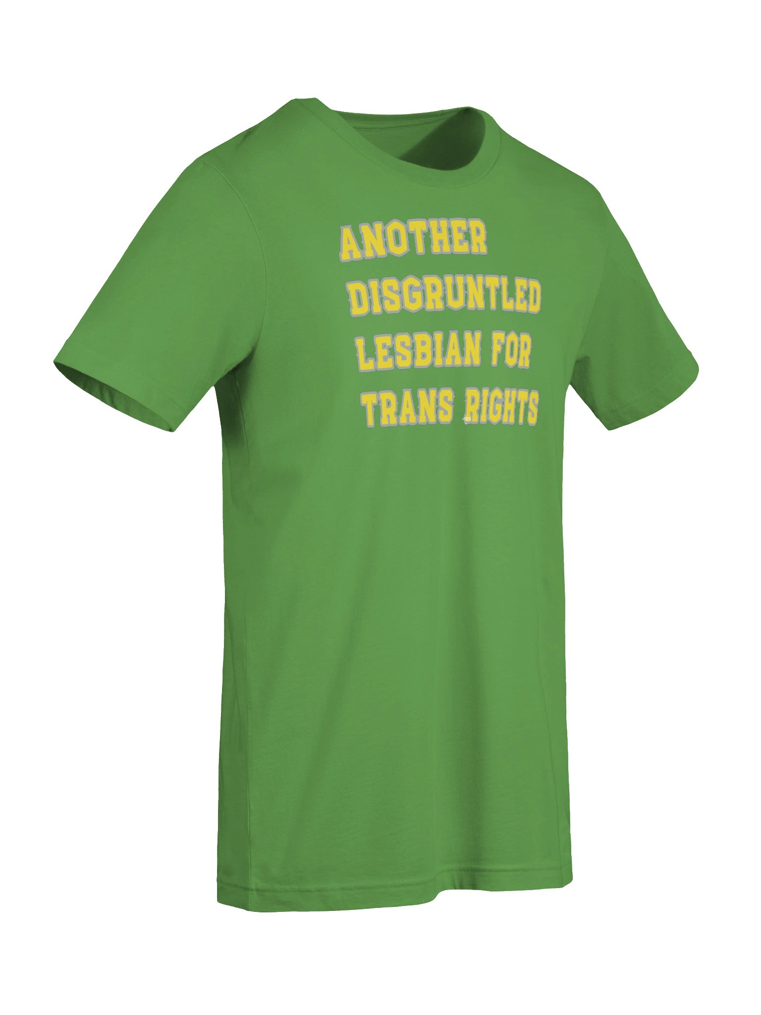 Disgruntled Seattle Lesbian product image (7)