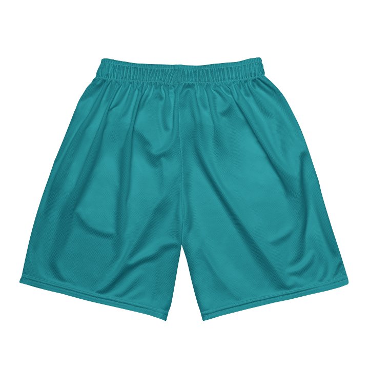 Bristol Orange Brigade Home Shorts product image (2)